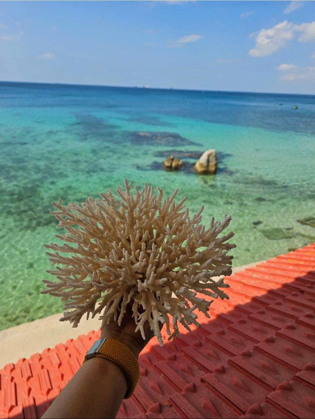 Mui Dinh Hotel Фанранг Экстерьер фото