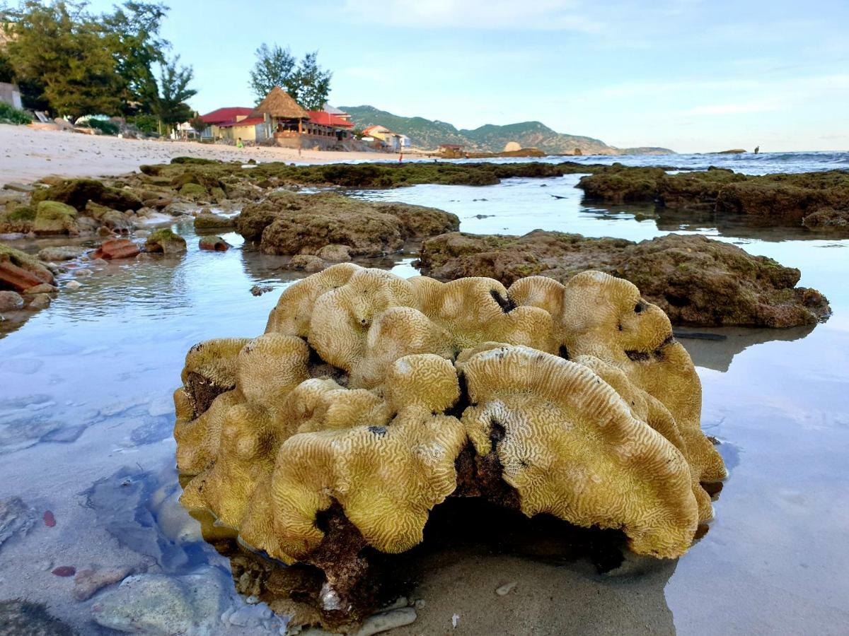 Mui Dinh Hotel Фанранг Экстерьер фото